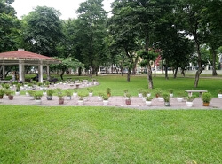 Парк Тонг Нхат