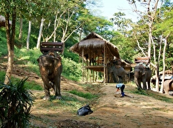 Слоновий лагерь Маеса