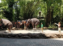 Зоопарк Safari World