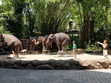 Зоопарк Safari World
