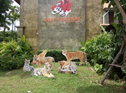 Королевство тигров