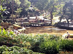 Ботанический сад Mae Fah Luang