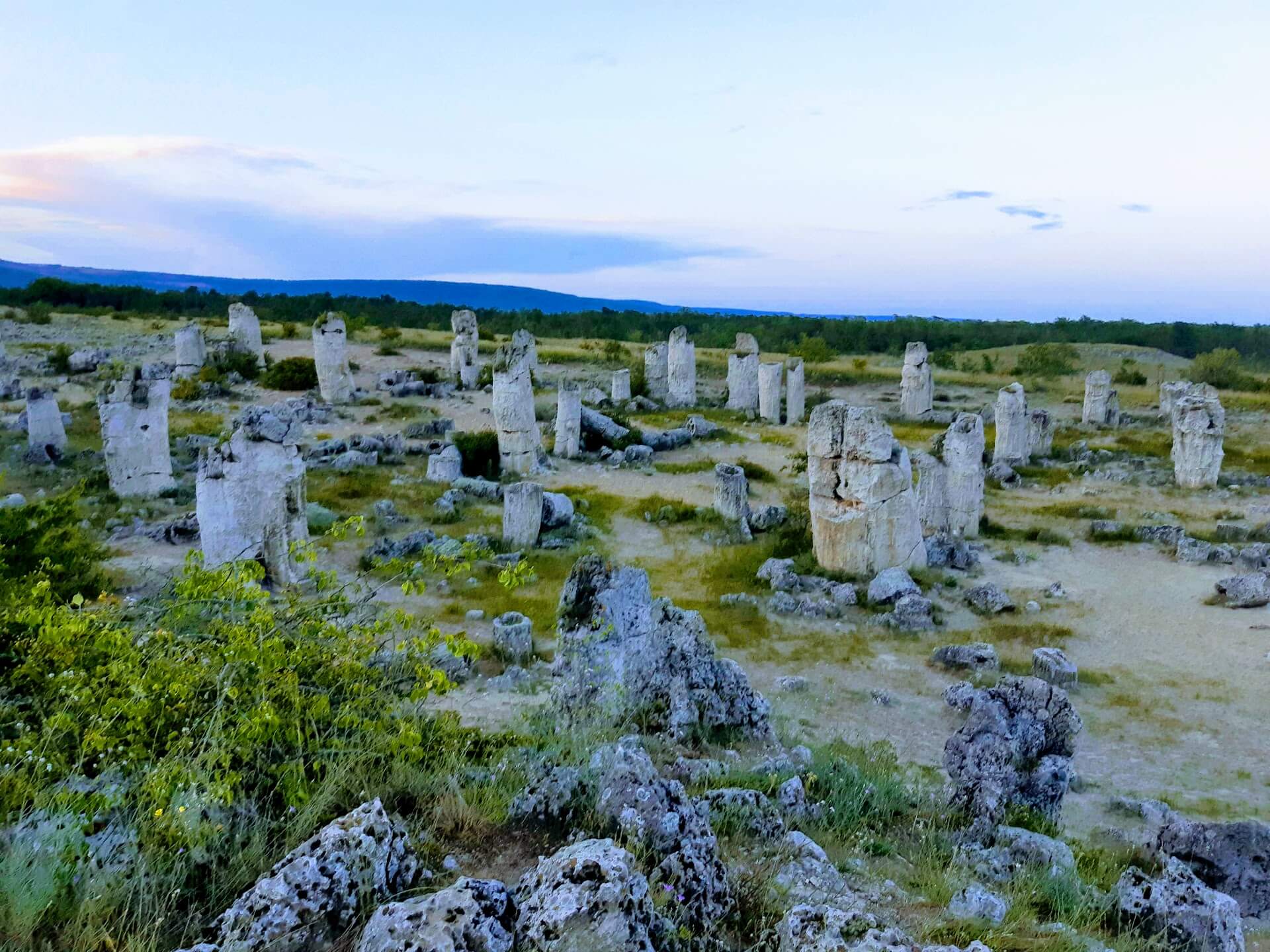 Зачем все едут в Каменный лес в Болгарии?