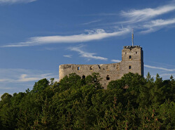Замок Радине