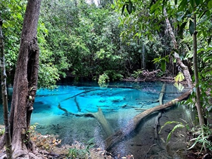 Озеро Emerald Pool