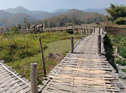 Бамбуковый мост