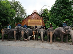 Деревня слонов