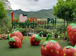 Парк Love Strawberry
