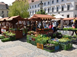 Фермерский рынок на площади Республики