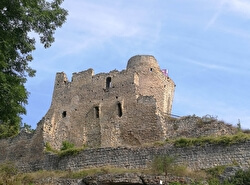 Замок Михаловице