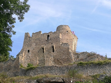 Замок Михаловице