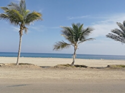 Пляж Дибба