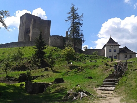 Замок Ландштейн