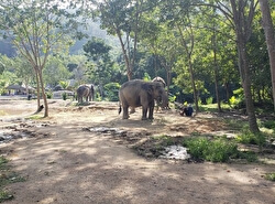 Парк-заповедник Green Elephant