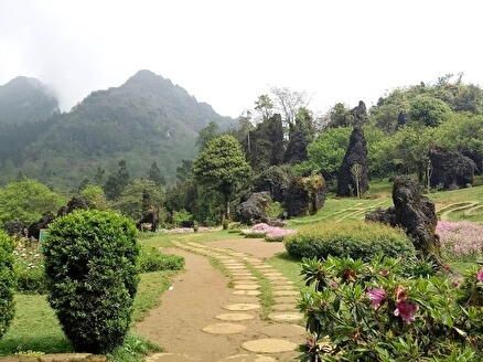 Цветочный парк Хам Зонг