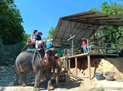 Слоновья ферма ATV Prayai Changthai