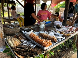 Рыбный рынок вдоль дороги Банг Тао
