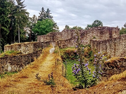 Руины замка Кози-Градек